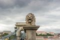 Lion near the Chain Bridge in Budapest