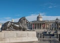 Lion of Nelson`s Column and National Gallery, Trafalgar Square, London, UK Royalty Free Stock Photo