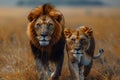 Lion Pair Majesty in the Savannah. Concept Wildlife Photography, African Safari, Majestic Animals, Royalty Free Stock Photo