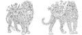 Lion and panther coloring pages Royalty Free Stock Photo