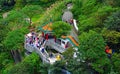 Lion pavilion at the peak, hong kong Royalty Free Stock Photo