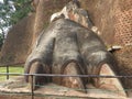 Lion Paws mark the gate to the ancient palace built in the past on the top of Sigiriya rock, the most important historical travel Royalty Free Stock Photo