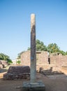 Lion Pillar of Gupta Dynasty Era in India Royalty Free Stock Photo