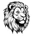 Lion portrait lion Royalty Free Stock Photo