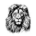 Lion portrait lion head Royalty Free Stock Photo