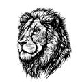 Lion portrait lion head sketch hand drawn Royalty Free Stock Photo