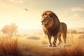 Lion portrait on savanna landscape AI generated Royalty Free Stock Photo