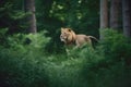 A lion predator jumps out of the green jungle, close-up. Carnivore animal hunter of the wild. AI generated.