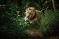 A lion predator jumps out of the green jungle, close-up. Carnivore animal hunter of the wild. AI generated.