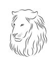 Lion proud, face in profile, looking into the distance, sketch, vector, black-and-white drawing Royalty Free Stock Photo