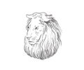 Lion proud, face in profile, looking into the distance, sketch, vector, black-and-white drawing Royalty Free Stock Photo