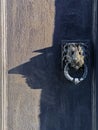 Lion with ring in his teeth is bas-relief mask like handle on street door and shadow Royalty Free Stock Photo