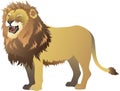 Lion Roaring , Standing Side View , African Savana Wild Life Animal - Vector Illustration