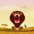 Lion roars in the savannah Royalty Free Stock Photo