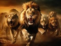 Lion s Bite Royalty Free Stock Photo