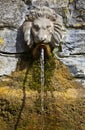 Lion's Head Drinking Fountain at the Chalice Well Royalty Free Stock Photo