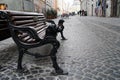 Lion`s head sculpture on bench handrail. Lion with wings Royalty Free Stock Photo