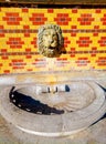 Lion`s head on on the tile over the bowl bas-relief