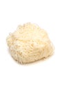 Lion's Mane Mushroom-Hericium erinaceum