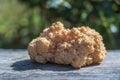 Lion`s Mane mushroom or Hericium erinaceus , a medicinal and edible mushroom, close up Royalty Free Stock Photo