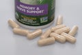 Lion`s Mane mushroom vegetarian capsules