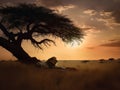 Lion\'s Slumber: Peaceful Rest Under the Serengeti Sky