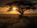 Lion\'s Slumber: Peaceful Rest Under the Serengeti Sky