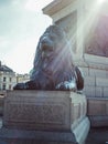 The LionÃ¢â¬â¢s statue at the base of the Nelson`s Column, monument in Trafalgar Square, City of WestMinster. Royalty Free Stock Photo