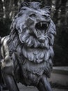 Lion sculpture in Branitz park Royalty Free Stock Photo