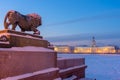 The lion sculpture in bronze at the Admiralty embankment and Kunstkamera at night in Saint Petersburg, Russia Royalty Free Stock Photo