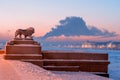 The lion sculpture in bronze at the Admiralty embankment and Kunstkamera at night in Saint Petersburg, Russia Royalty Free Stock Photo