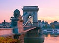 The lion sculpture on the Chain Bridge at sunrise, Budapest, Hungary Royalty Free Stock Photo