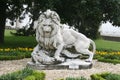 Lion sculpture in dolmabahce palace's garden Royalty Free Stock Photo