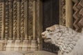 Lion sculpture on the exterior of a gothic church