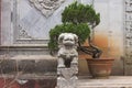 Lion sculpture in the garden of a Chinese Temple Royalty Free Stock Photo