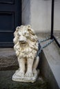 Lion sculpture made of stone or  gypsum chained in front of a house entrance in the old town of luebeck, germany Royalty Free Stock Photo