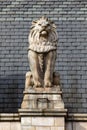 Lion Sculpture at the Natural History Museum in London