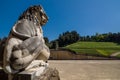 Lion sculpture at the Pitti Palace in Florence, Tuscany, Italy. Royalty Free Stock Photo