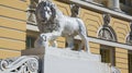 Lion sculpture in Saint Petersburg Royalty Free Stock Photo
