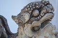 Lion sculpture Royalty Free Stock Photo