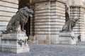 Lion sculptures - Budapest