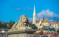 Lion sculptures of the Chain Bridge with the view of Budapest Royalty Free Stock Photo