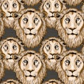Lion seamless pattern. Vector illustration on brown background Royalty Free Stock Photo