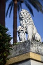 Lion shaped capital with palms and a clear sky as background