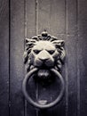 Lion-shaped door knocker Royalty Free Stock Photo