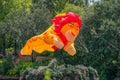 Lion shaped Kite flying through the air
