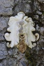 Lion shaped profile emblem set into stone wall