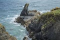 Lion shaped rock at The Lizard in Cornwall