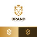 Lion shield crown creative logo design template vector with three color harmony combination elegant gold