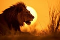 Lion silhouette at sunset. Generative AI